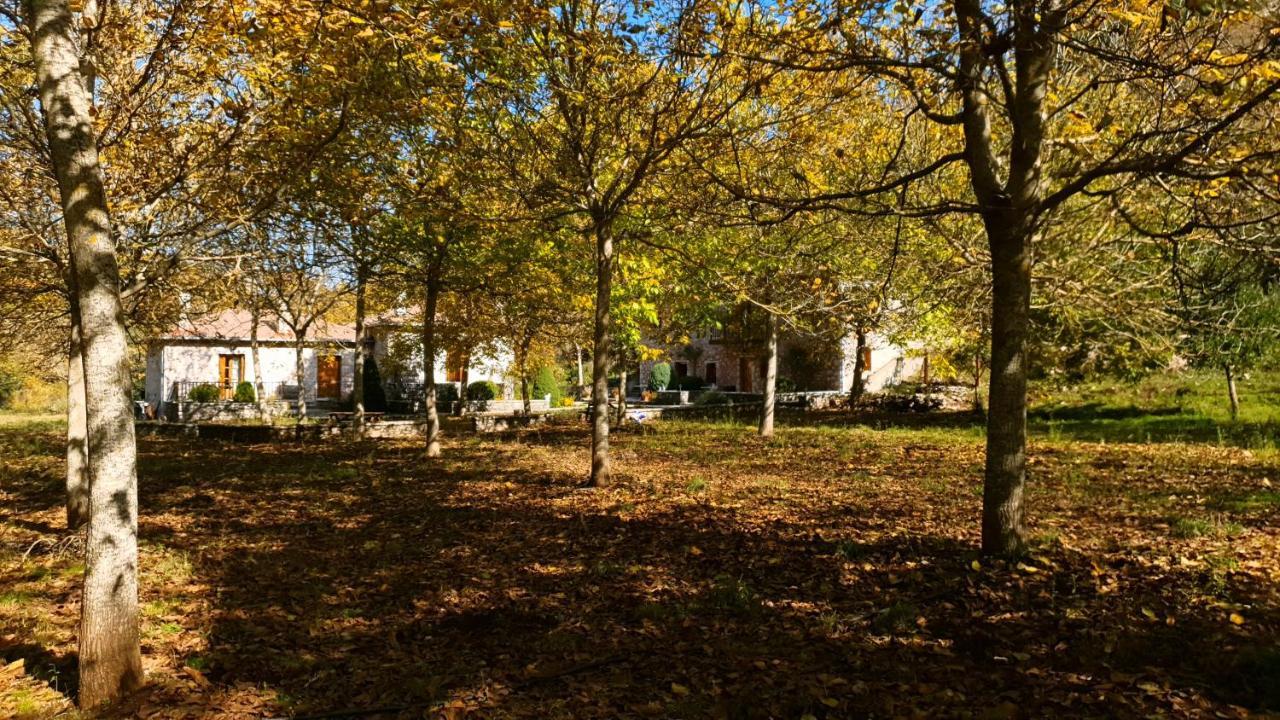 Andrea Sofi Guesthouse Димицана Экстерьер фото