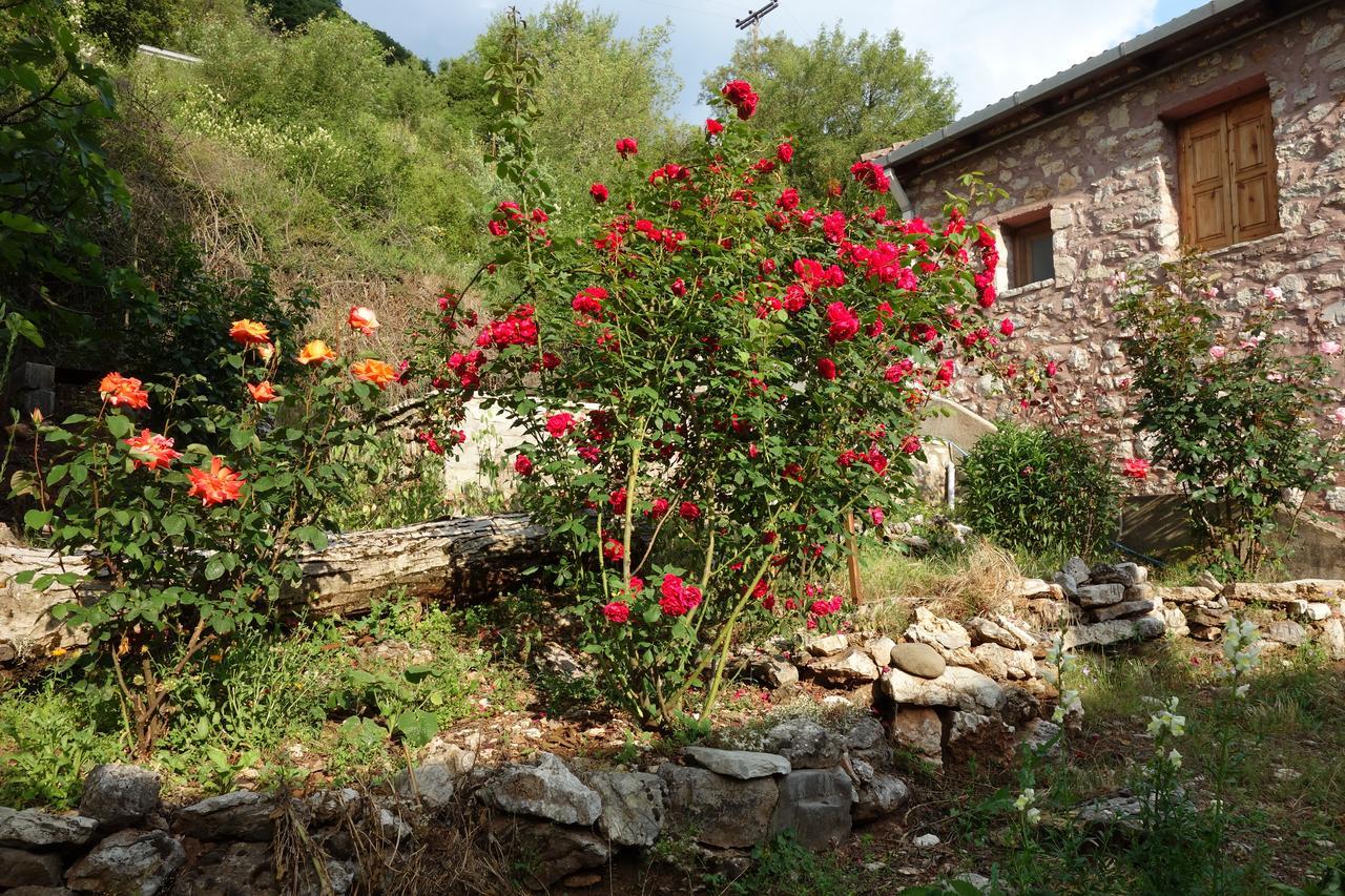 Andrea Sofi Guesthouse Димицана Экстерьер фото